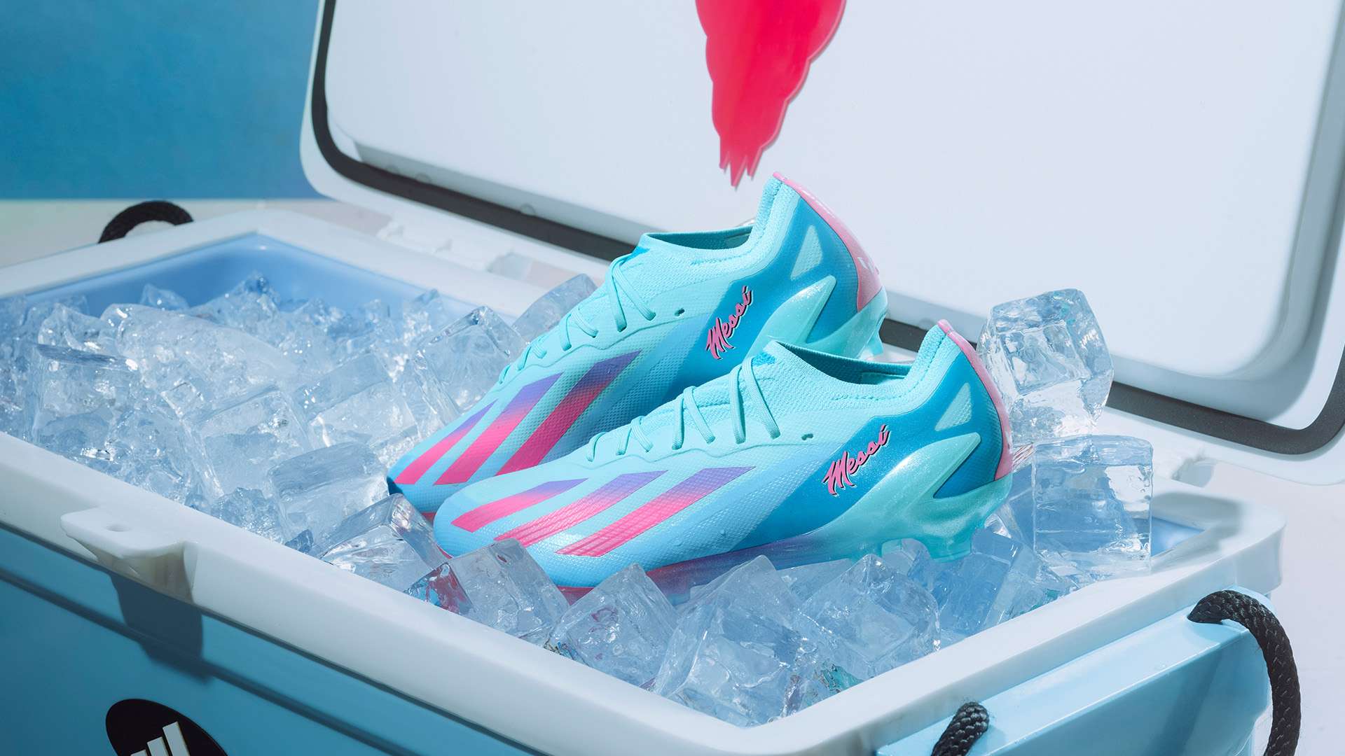 场的新篇章 场的新篇章